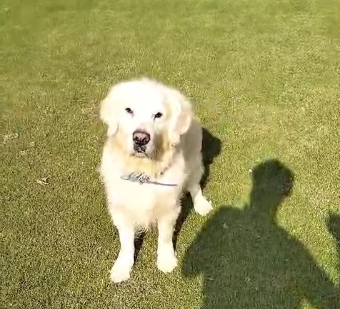 Image not found